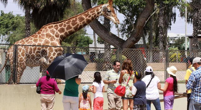 Conoce los motivos por los que el Parque de las Leyendas cerrará uno de sus espacios.