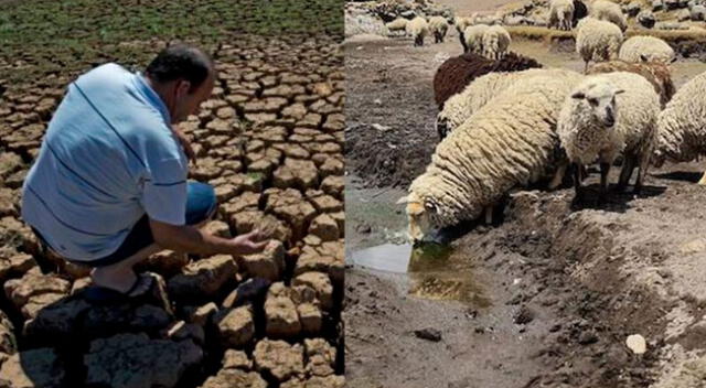 Falta de agua afecta no solo a Perú, sino también a países como Chile y Argentina. Se necesita mejor gestión del recurso hídrico.