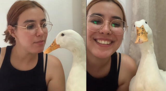 Mujer logra que su pato sonriera a la cámara y se hace viral en Tik  Tok.