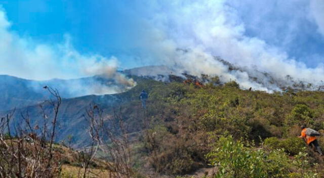 Un incendio forestal se produjo en la zona de Yamango y dejó un adulto mayor fallecido.