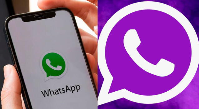 Cambio a color morado en WhatsAPP no afecta la seguridad del dispositivo móvil.