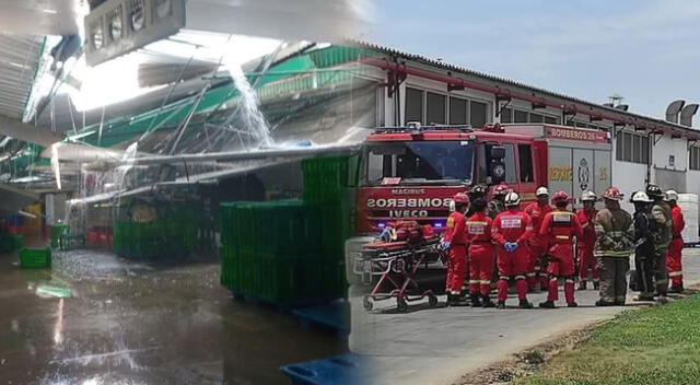 El accidente en Trujillo activó una rápida respuesta de los servicios de emergencia. El accidente en Trujillo activó una rápida respuesta de los servicios de emergencia.