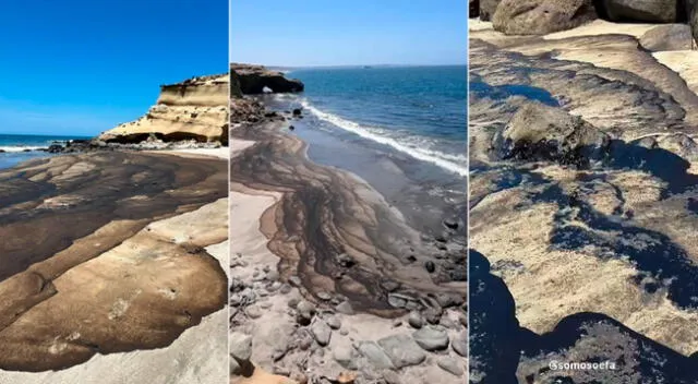 Playas de Talara fueron afectadas por hidrocarburo. Pobladores presumen que habría sido Petroperú.