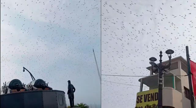 Miles de aves aparecen en cielo del Callao y sorprende a vecinos.