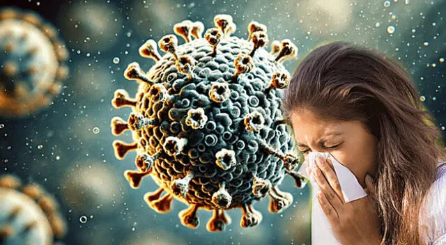 El metapneumovirus humano tiene síntomas similares al de un resfriado común