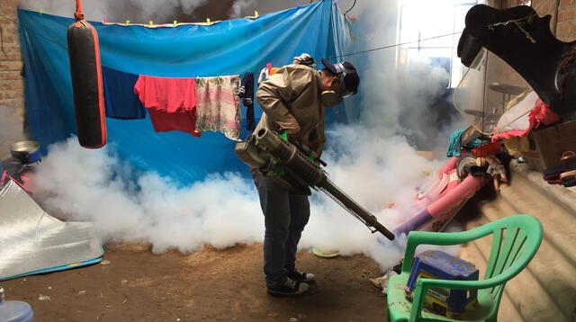 Mitos sobre el dengue que pueden poner en riesgo tu salud Mitos sobre el dengue que pueden poner en riesgo tu salud