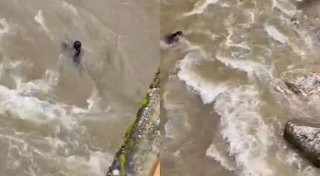 Una joven madre de 24 años y su hijo de ocho años perdieron la vida tras ser arrastrados en el río Chonta, en Cajamarca. Una joven madre de 24 años y su hijo de ocho años perdieron la vida tras ser arrastrados en el río Chonta, en Cajamarca.