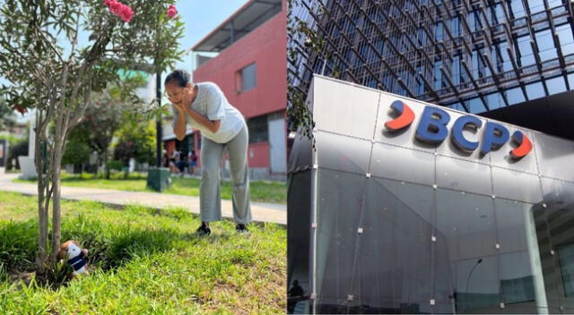 - La dinámica consiste en la búsqueda de 136 peluches del cuy mágico con premios como celulares iPhone, PlayStation 5 y un auto 0 kilómetros. - La dinámica consiste en la búsqueda de 136 peluches del cuy mágico con premios como celulares iPhone, PlayStation 5 y un auto 0 kilómetros.