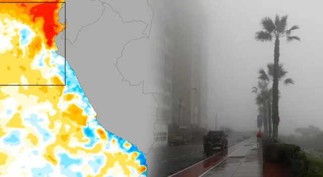 Conoce las regiones que se verán afectadas por el peligroso fenómeno meteorológico. Conoce las regiones que se verán afectadas por el peligroso fenómeno meteorológico.