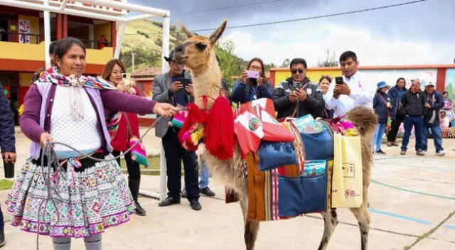 Platero y Pituca: la innovación educativa en las comunidades altoandinas. Platero y Pituca: la innovación educativa en las comunidades altoandinas.