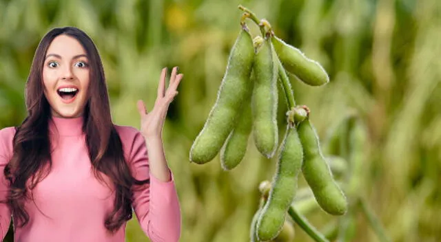 Descubre 5 alimentos con propiedades anticancerígenas para prevenirlo de forma natural. Descubre 5 alimentos con propiedades anticancerígenas para prevenirlo de forma natural.