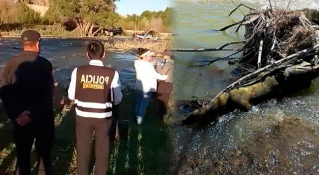 Hallan el cuerpo sin vida en el Río Chili de la joven que fue reportada como desaparecida hace 14 días en Arequipa Hallan el cuerpo sin vida en el Río Chili de la joven que fue reportada como desaparecida hace 14 días en Arequipa