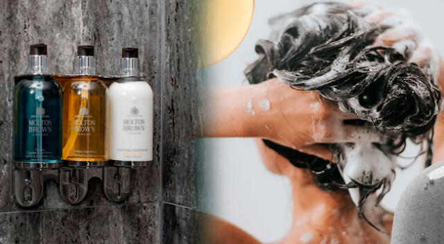 Solicitan el retiro de una reconocida marca de shampoo en Argentina. Solicitan el retiro de una reconocida marca de shampoo en Argentina.