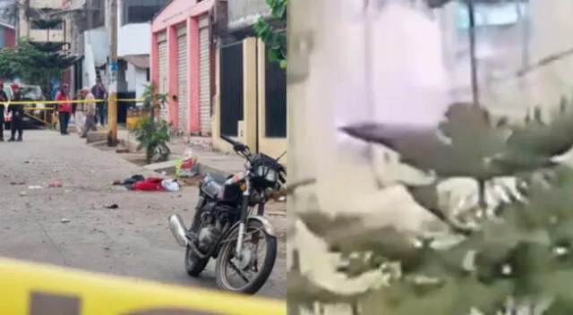 Una cámara de seguridad ubicada en Villa El Salvador captó con claridad el momento exacto en que un artefacto explosivo detona a la altura del paradero Cuaves. Una cámara de seguridad ubicada en Villa El Salvador captó con claridad el momento exacto en que un artefacto explosivo detona a la altura del paradero Cuaves.