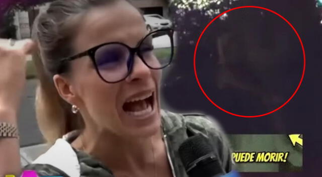 Alejandra Baigorria conversó en privado con su mamá y su hermana tras agresión. Alejandra Baigorria conversó en privado con su mamá y su hermana tras agresión.
