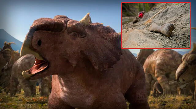 Aún hay un kilómetro entero lleno de huesos por investigar. Aún hay un kilómetro entero lleno de huesos por investigar.