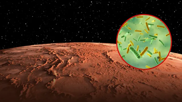 Según los expertos, podrían interferir con la búsqueda de vida extraterrestre. Según los expertos, podrían interferir con la búsqueda de vida extraterrestre.