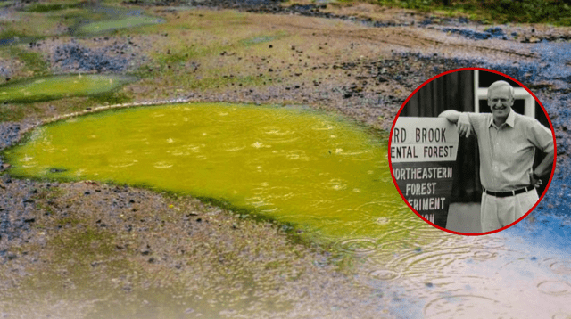 El experimento que comprobó que la lluvia también podía contaminar. El experimento que comprobó que la lluvia también podía contaminar.