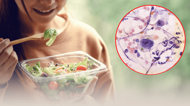 Conoce los alimentos que eliminan los químicos que generan cáncer: científicos revelan como expulsarlos Conoce los alimentos que eliminan los químicos que generan cáncer: científicos revelan como expulsarlos