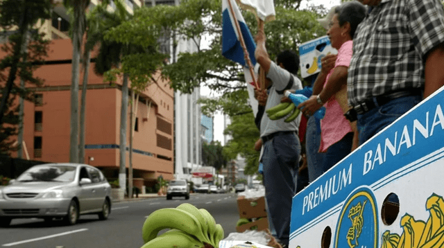 Empresa agrícola despide a todos sus empleados tras huelga de un mes. Empresa agrícola despide a todos sus empleados tras huelga de un mes.