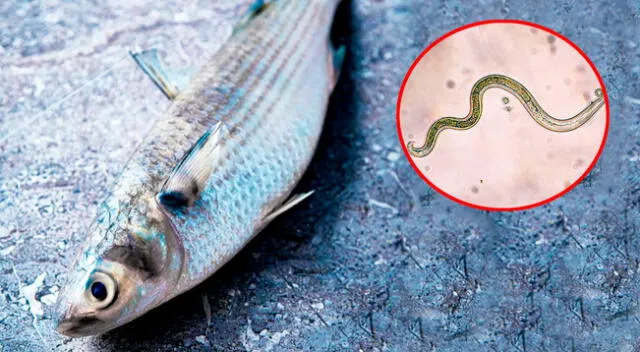 Retiran del mercado estos pescados en California. Retiran del mercado estos pescados en California.