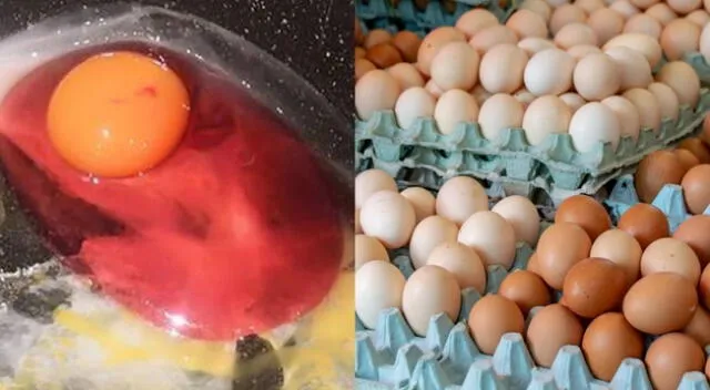 A través de un comunicado de la FDA, se anunció el retiro inmediato de una famosa de huevos por contaminación de Salmonella en Estados Unidos.
