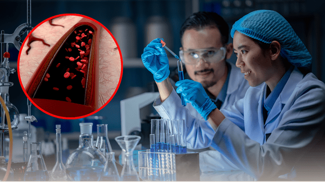 Científicos logran la creación de vasos sanguíneos con inteligencia artificial. Científicos logran la creación de vasos sanguíneos con inteligencia artificial.