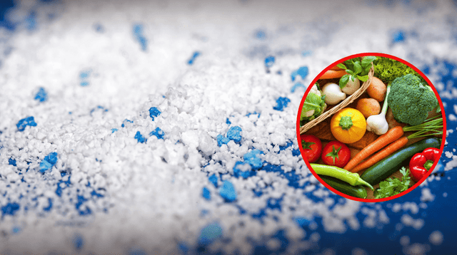 Científicos detectan microplásticos en verduras que podrían afectar la cadena de alimentación a nivel mundial. Científicos detectan microplásticos en verduras que podrían afectar la cadena de alimentación a nivel mundial.