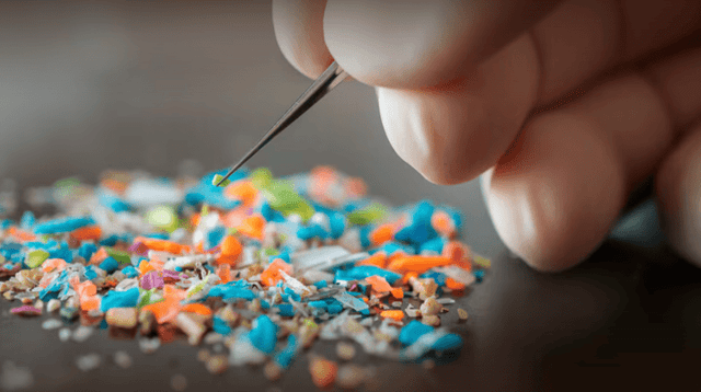 Los microplásticos ya están presentes en el semen y el líquido folicular, según científicos. Los microplásticos ya están presentes en el semen y el líquido folicular, según científicos.