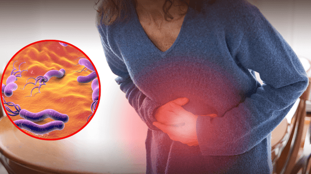 Esta es la bacteria peligrosa asociada al cáncer de estómago, según científicos. Esta es la bacteria peligrosa asociada al cáncer de estómago, según científicos.
