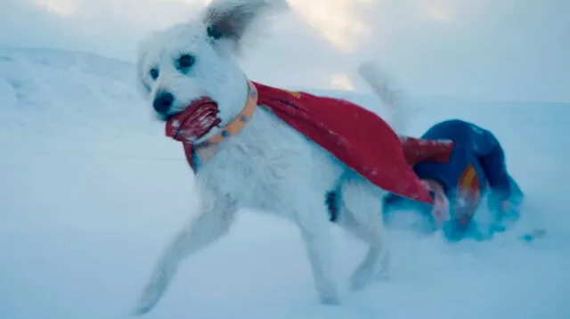 Krypto hará su primera aparición en películas live action de Superman. Foto: DC Studios Krypto hará su primera aparición en películas live action de Superman. Foto: DC Studios