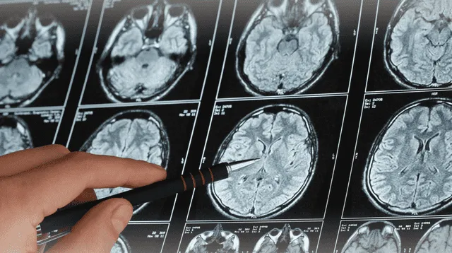 Científicos de Londres identifican la señal cerebral que ayuda a entender nuestro entorno.