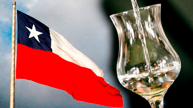 Corte de Delhi valida denominación de origen del pisco chileno tras años de disputa Corte de Delhi valida denominación de origen del pisco chileno tras años de disputa