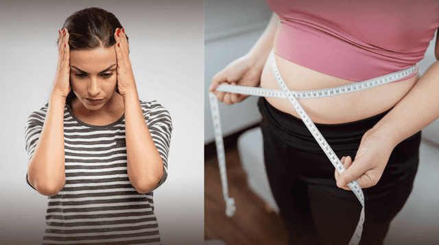 Científicos revelan que el cuerpo "recuerda" el sobrepeso y responde con más grasa. Científicos revelan que el cuerpo "recuerda" el sobrepeso y responde con más grasa.