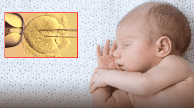 ¿Cómo funciona la nueva técnica de fertilidad? ¿Cómo funciona la nueva técnica de fertilidad?