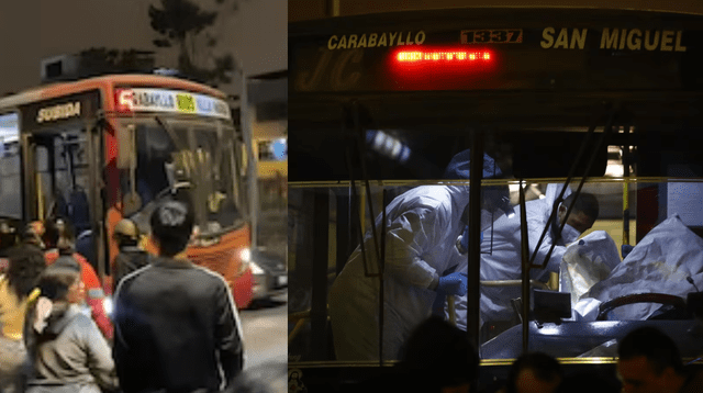 Sicarios asesinan a chofer de “El Rápido” frente a pasajeros en plena Av. Universitaria