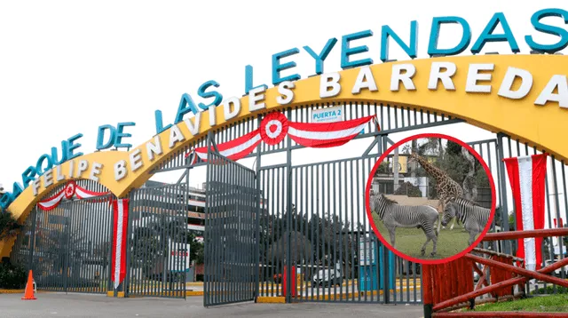 Así puedes disfrutar del Parque de las Leyendas en Fiestas Patrias: entradas, horarios y novedades Así puedes disfrutar del Parque de las Leyendas en Fiestas Patrias: entradas, horarios y novedades