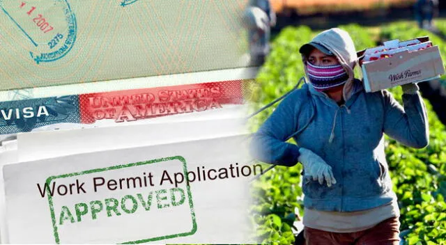 Empresa está BUSCANDO apicultores para trabajar en Estados Unidos. Empresa está BUSCANDO apicultores para trabajar en Estados Unidos.