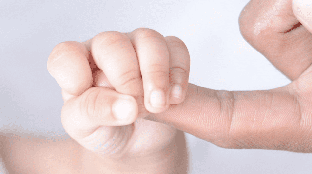 Jueces paralizan medida de Trump que afectaba a miles de familias. Jueces paralizan medida de Trump que afectaba a miles de familias.