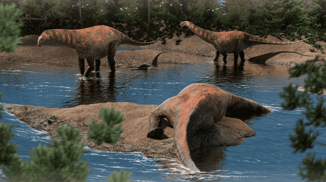 Arqueólogos descubrieron fósiles de una nueva especie de dinosaurio en Argentina. Arqueólogos descubrieron fósiles de una nueva especie de dinosaurio en Argentina.