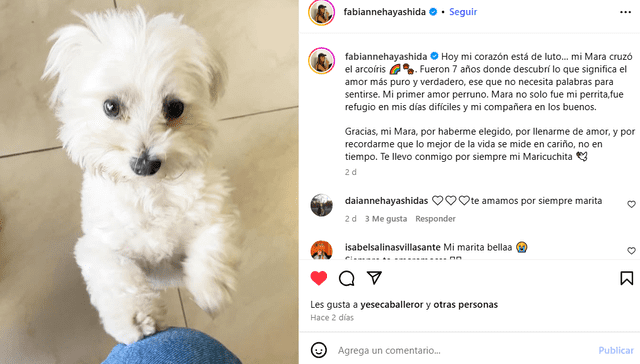 <em>Fabianne Hayashida sufre tras la muerte de su mascota. Captura: Instagram</em>   