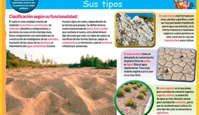 El suelo sus tipos. El suelo sus tipos.