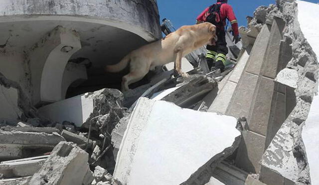 Dayco logró rescatar siete personas con vida en Ecuador 