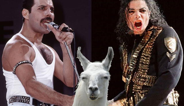 Michael Jackson tenía a llama como mascota y Freddie Mercury explotó