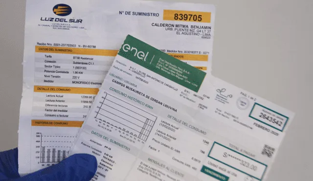 Recibo de luz consulta cómo ver recibo de luz deuda descargar y fraccionar recibo Enel