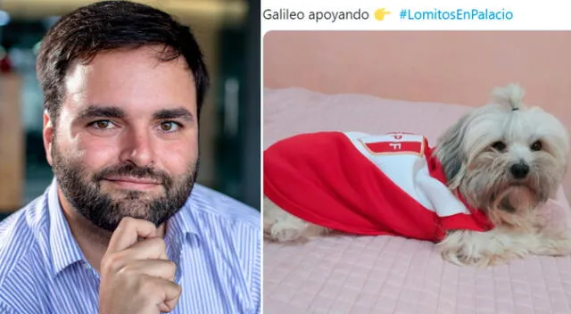 Twitter Viral Alberto De Belaúnde Impulsa Hashtag Lomitos En Palacio