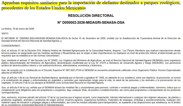 <strong> Senasa emitió un comunicado sobre la llegada de elefantes al Perú</strong>   