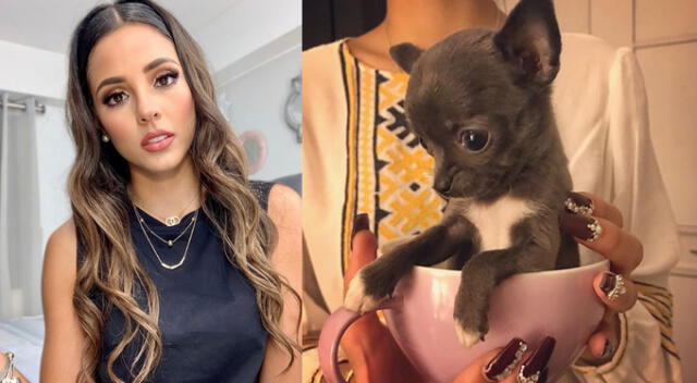 Luciana Fuster en Instagram cuenta que su mascota se trago su arete durante cuarentena | VIDEO | El Popular