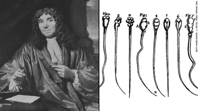 <em> Antonie van Leeuwenhoek, quien inventó el microscopio compuesto, fue el primero en observar el movimiento del esperma humano, el suyo.</em>   