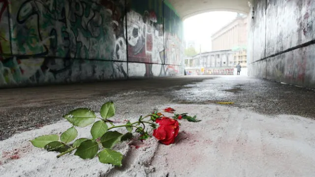 <strong><em> Un transeúnte dejó una rosa en la escena del crimen el domingo por la mañana. </em></strong>